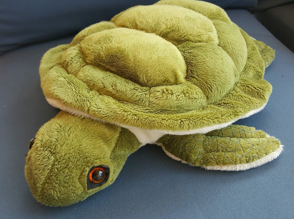 wishpets turtle