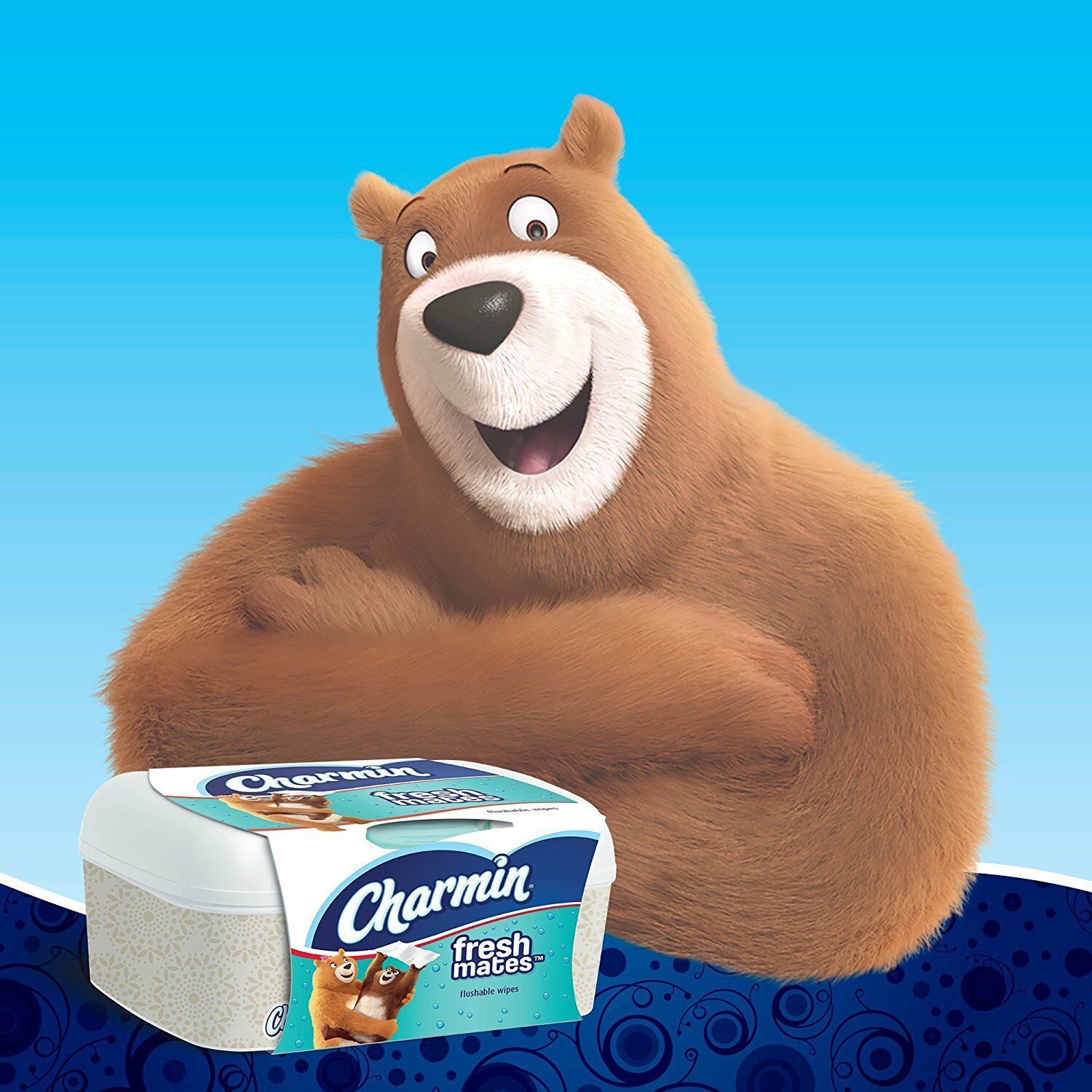 Charmin Freshmates Flushable Wet Wipes Toilet Paper Bathroom 40 Count