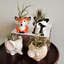 Animal Planters with Air Plants, set of 4, Fox Panda Elephant Sheep Plant Pots image 2