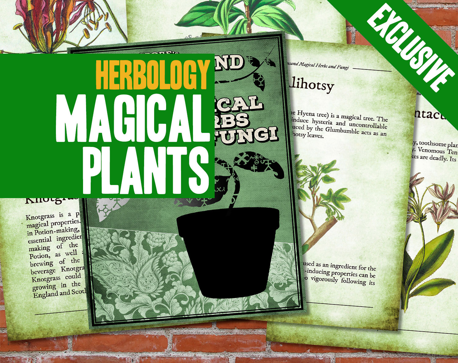 Harry Potter Magical Herbs and Fungi Harry Potter Print DIY Poster