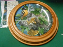 KNOWLES Collector Plate in  Wood Frame THE BALTIMORE ORIOLE 1985 by Kevi... - $14.44