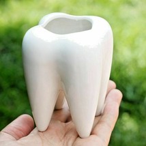Tooth Shape Flower Pot Ceramic Bonsai Succulent Planting Dentist Office ... - $17.75