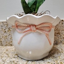 Snake Plant in Upcycled Planter, Sansevieria trifasciata, white pink ceramic pot image 3
