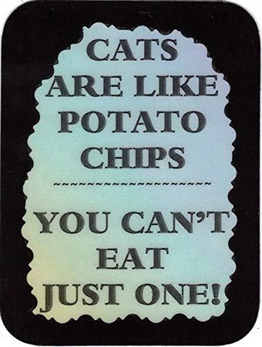 Cats Are Like Potato Chips You Can't Eat Just One 3 x 4 Love Note Humorous Say