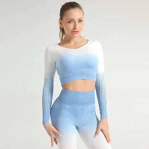 Laser Cut Seamless Set Ombre Gym Crop Top Yoga Leggings Girly Area S Blue Top