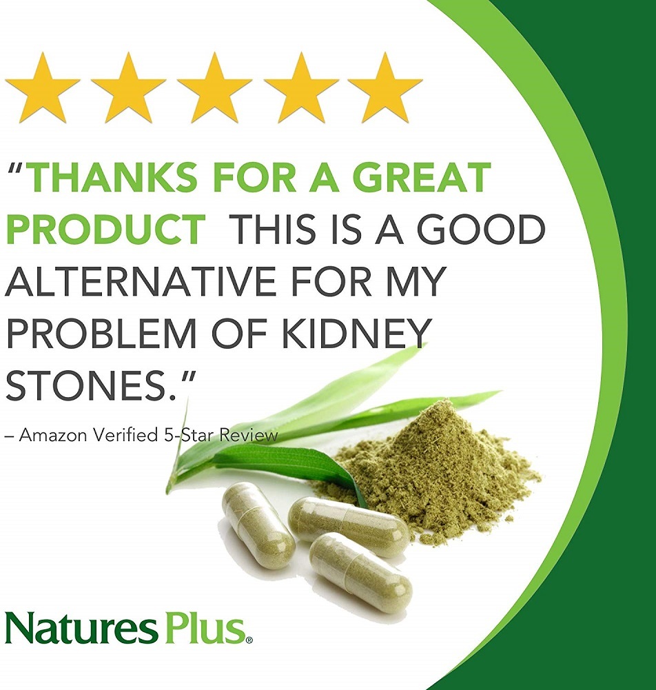 NaturesPlus Egg Yolk Lecithin 600 mg, 90 Vegetarian Capsules