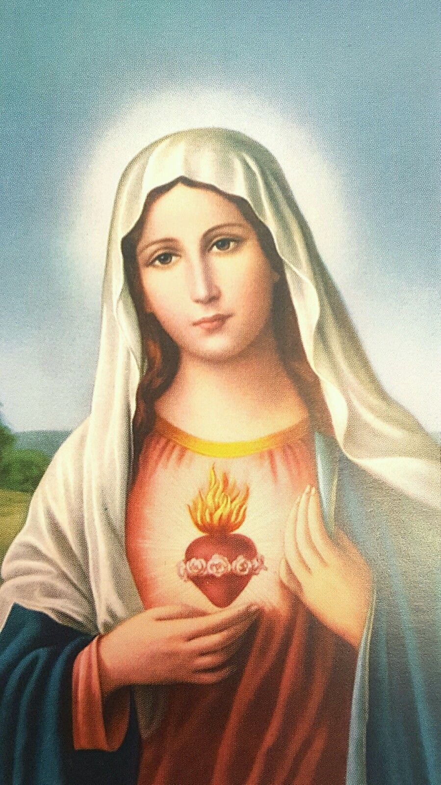 50 Sacred Heart of Mary Holy Pictures with Prayer-Blessed by Pope upon ...