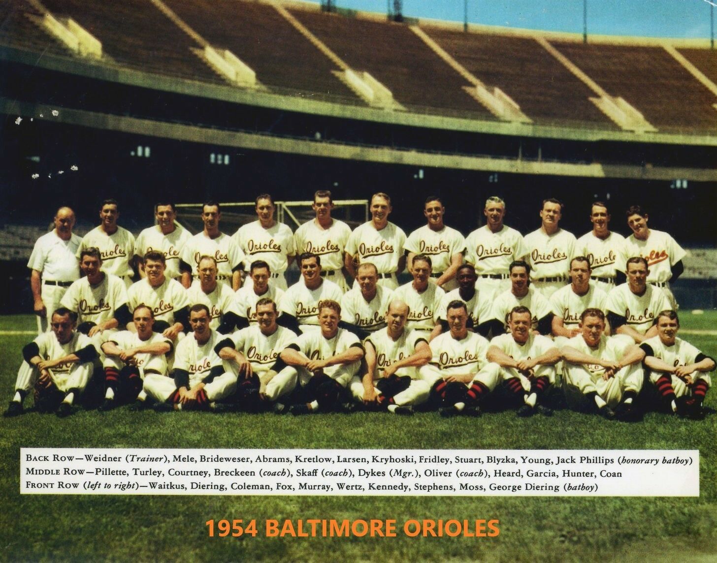 1954 BALTIMORE ORIOLES 8X10 TEAM PHOTO BASEBALL PICTURE O's MLB