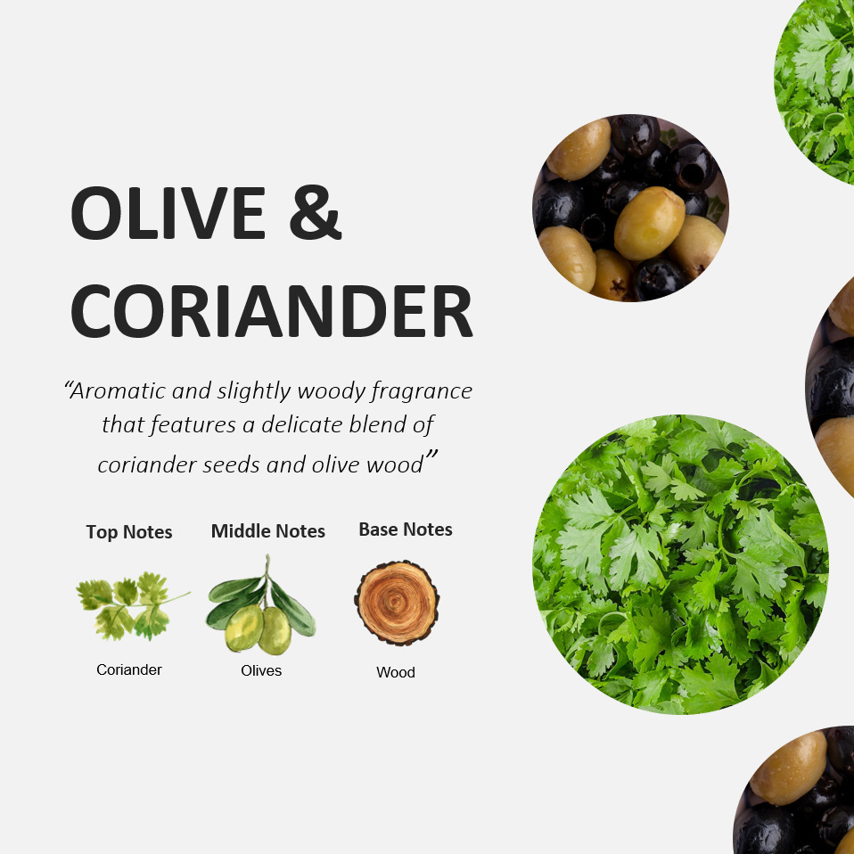 Fruits & Passion Cucina Coriander & Olive Tree Hand Care Duo (Hand Soap + Cream)