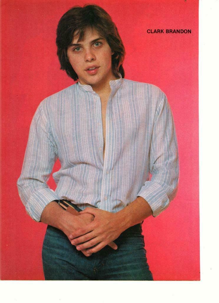 Shaun Cassidy Clark Brandon teen magazine pinup clipping shirtless teen