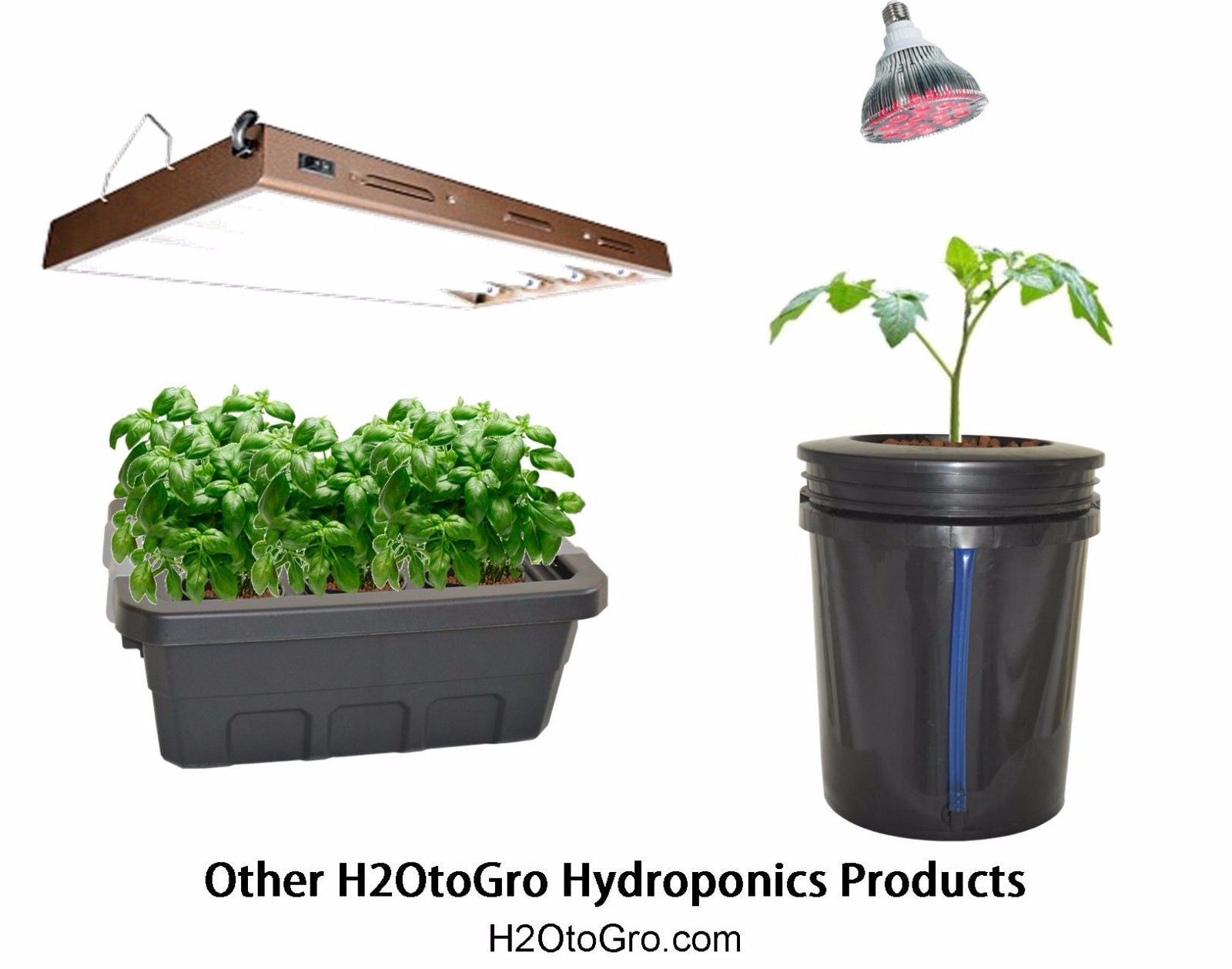  5, 4site H2OtoGro DWC BUBBLER Bucket Hydroponic system FREE US