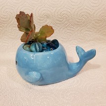 Whale Planter with Live Succulent and Glass Gems, Animal Succulent Planter image 10