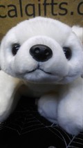 TY Beanie Buddy -Chilly the White Polar Bear - $24.95