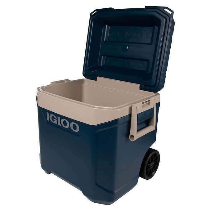 igloo maxcold latitude 62 qt