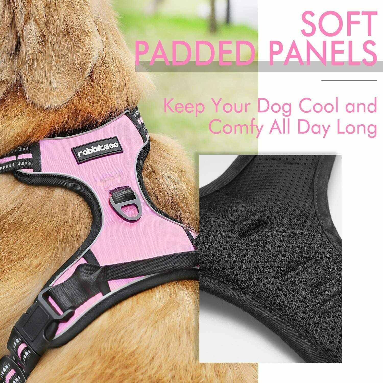 rabbitgoo Dog Harness, NoPull Pet Harness with 2 Leash Clips