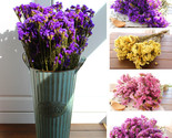 Lower myosotis sylvatica bouquet home decoration flowers from yunnan free shipping thumb155 crop