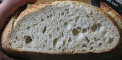 SAN FRANCISCO SOURDOUGH bread YEAST TANGY SOUR STARTER flour baking sallyBEST