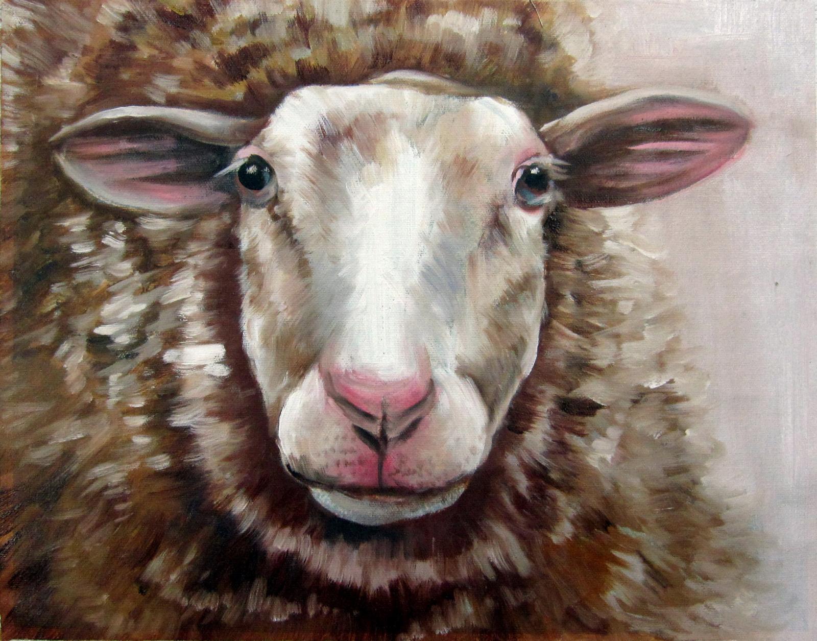 Sheep 12x16 In Stretched Oil Painting Canvas Art Wall Decor Modern104   Sheep104m 