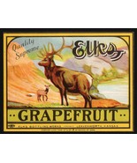 Vintage soda pop bottle label ELKS GRAPEFRUIT Leavenworth Kansas new old... - $9.99