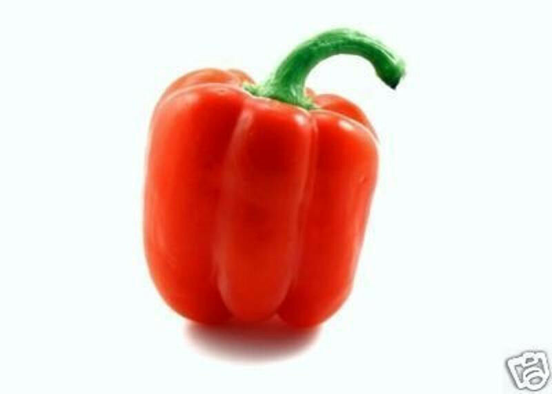 Red Bell pepper sweet, Aji pimiento rojo seed 100 SEEDS - Plants ...