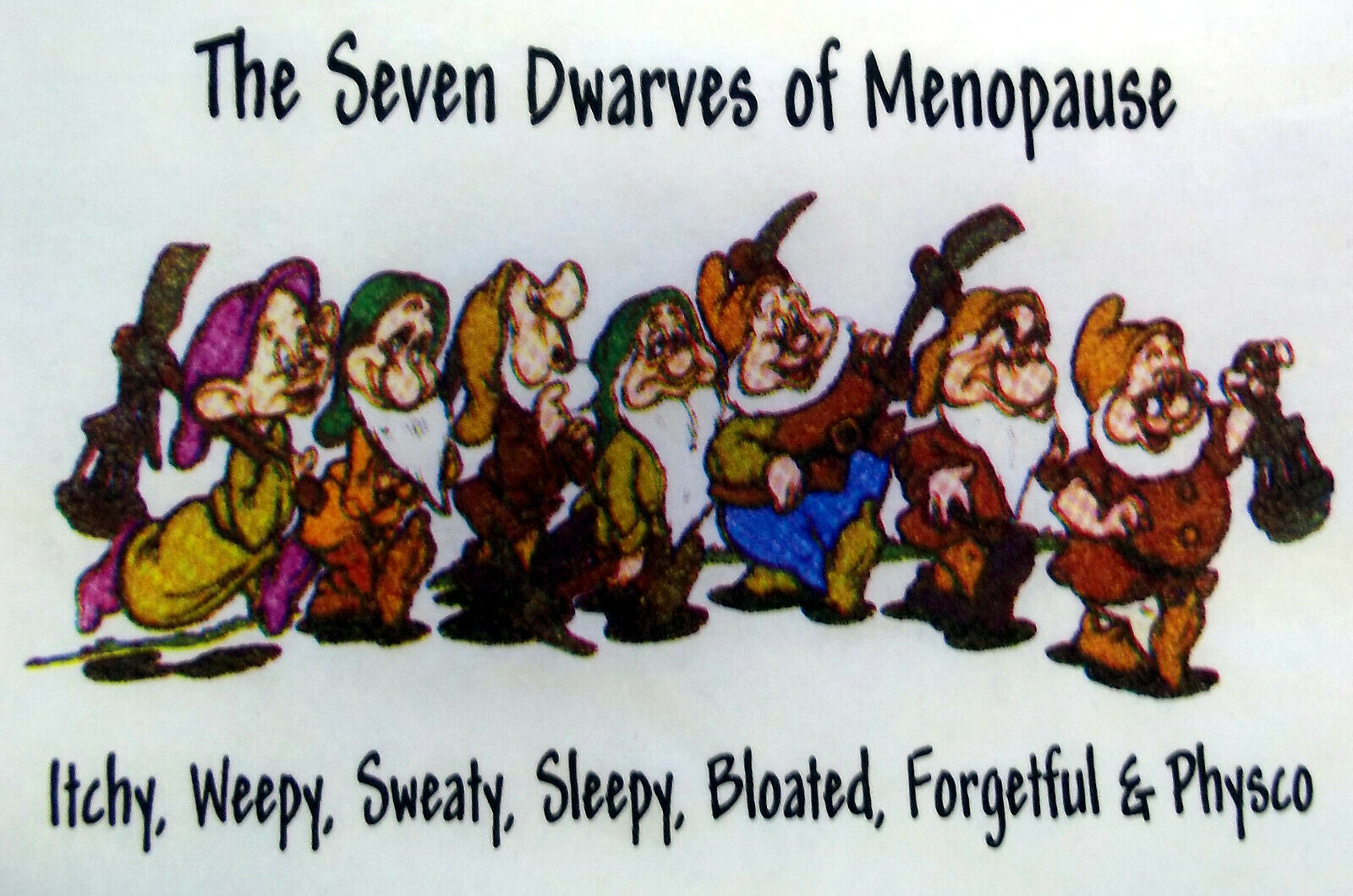7 Dwarves Of Menopause Funny T Shirt Great T Small Medium Large Or Xl140 T Shirts 