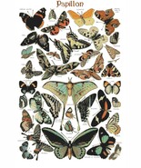 counted cross stitch pattern butterflies poster millot 258*401 stitches ... - $3.99