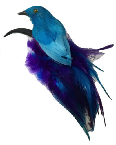 NEW Blue Bird Bluebird Purple Feather Headband Costume Hair Accessory