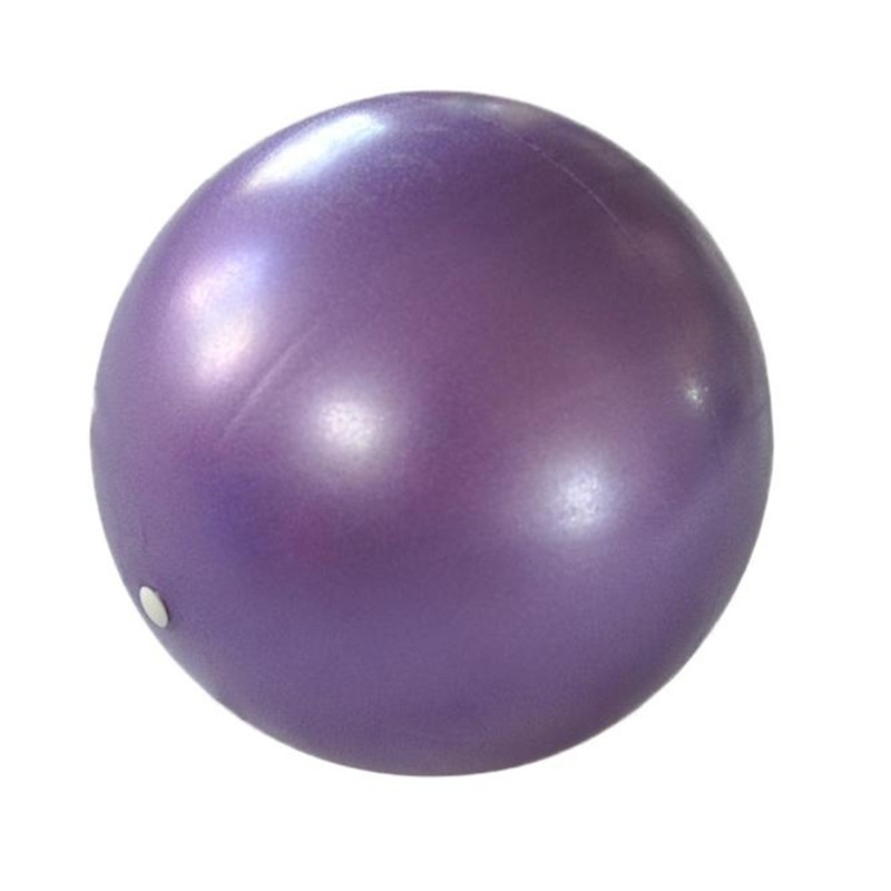 Yoga Fitness Pilates Purple Ball & Stability Base for Home Gym & Office - Resist