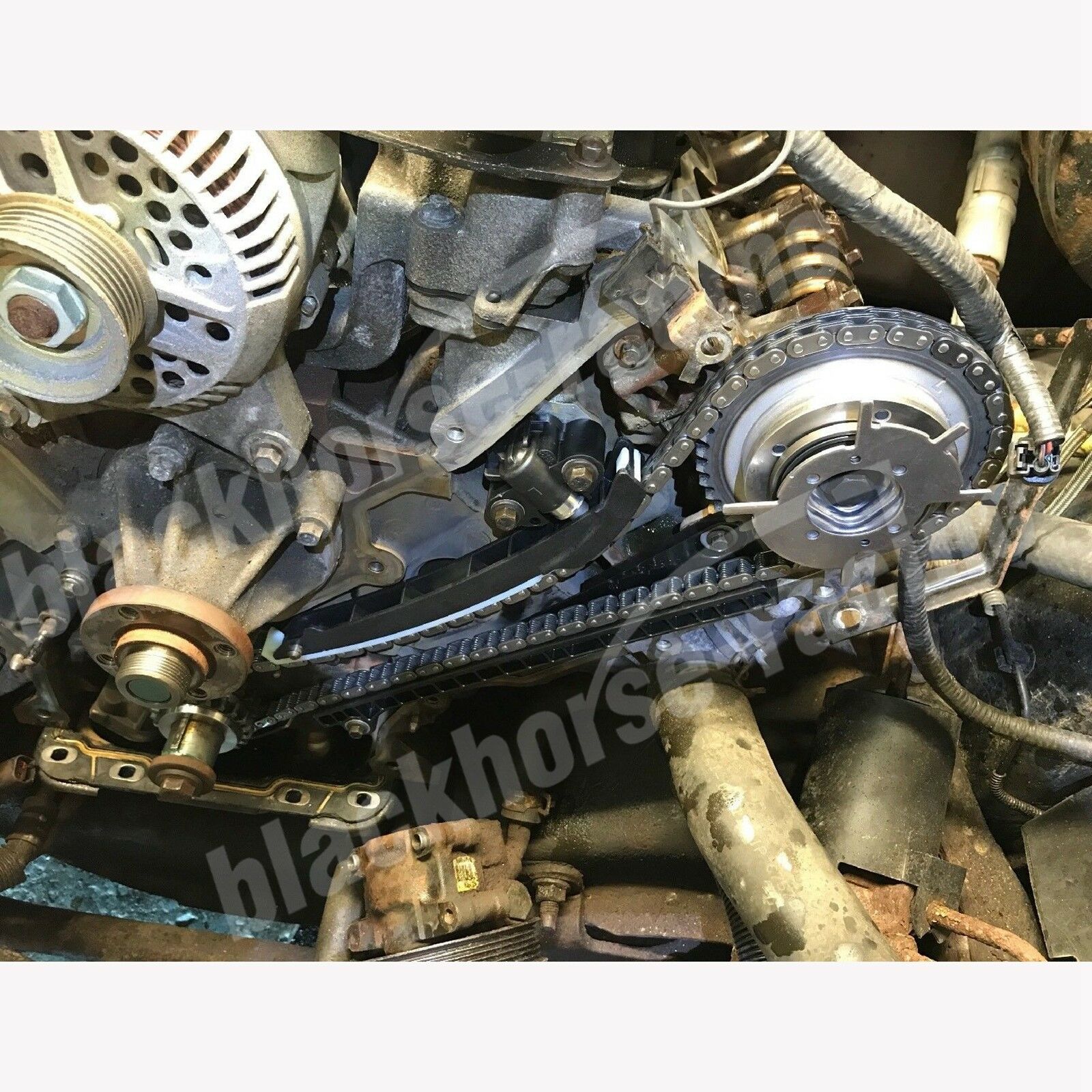 timing chain replacement