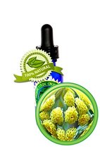 Helichrysum Essential Oil - 100% Pure (Helichrysum Italicum) - 30ml (1oz) - Undi - $122.49