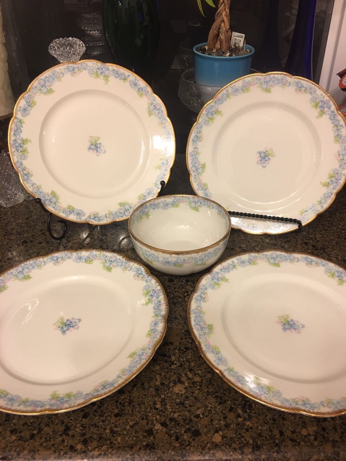 Rare Haviland Limoges Blue Flowers plates(10) and bowl (1) Limoges