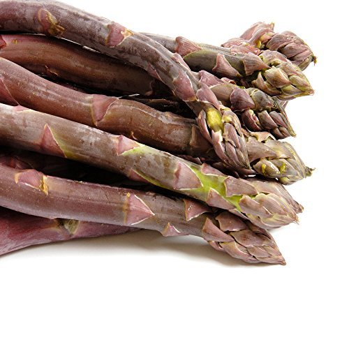 Purple Passion 10 Live Asparagus Bare Root Plants -2yr-Crowns from Hand Picked N