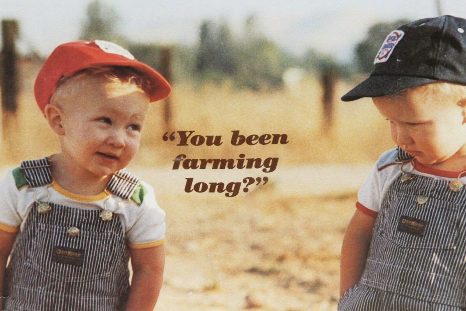 Been