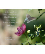 &quot;Swallowtail Rising,&quot; an A. Rose Designs (tm) note card - $5.95+