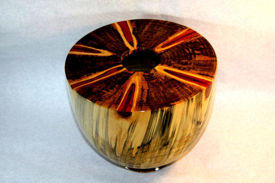 EXOTIC 10" NORFOLK PINE W/KNOT RING NATURAL BOWL BLANK LATHE LUMBER