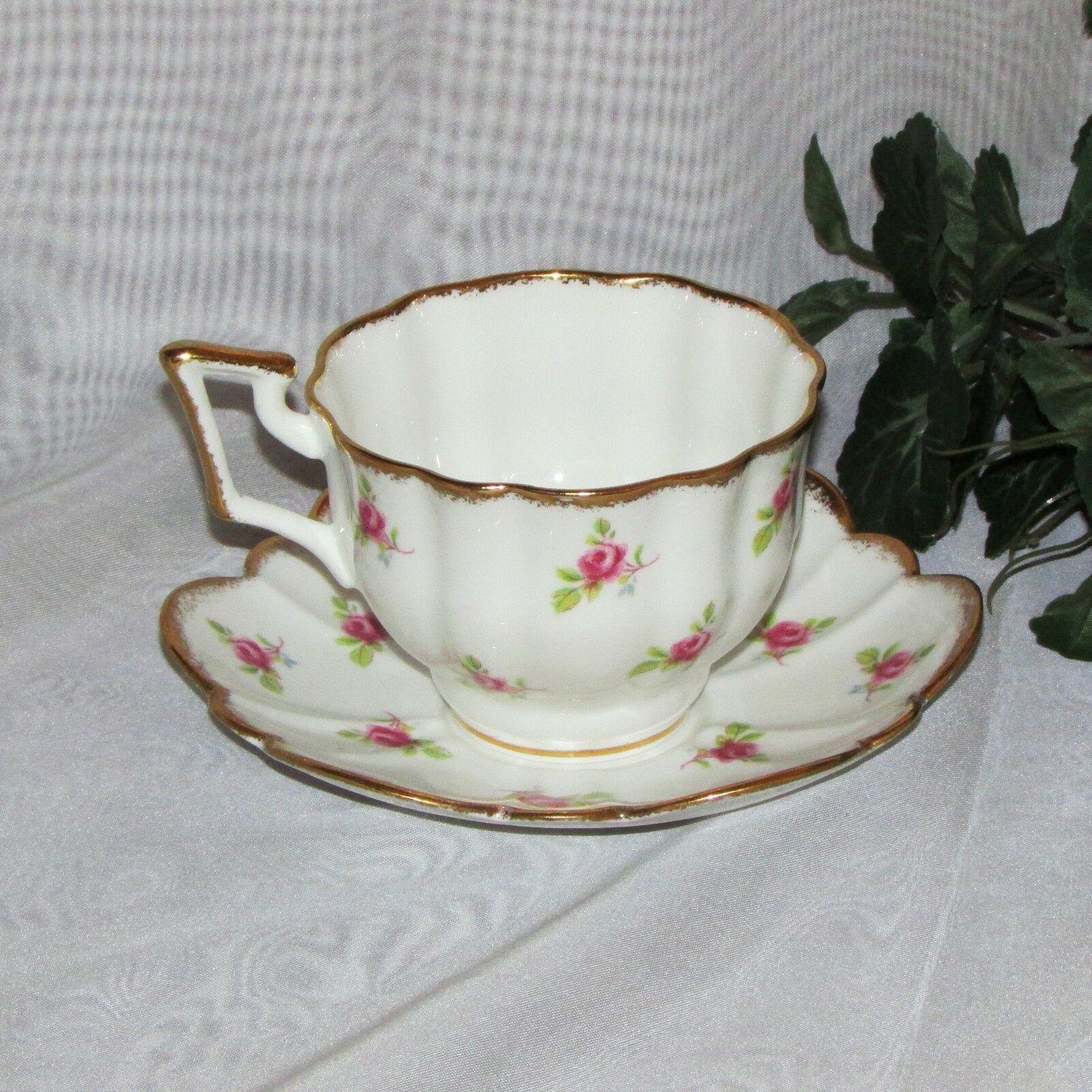 SALISBURY BONE CHINA CUP & SAUCER PRETTY PINK ROSETTES ROSES GOLD