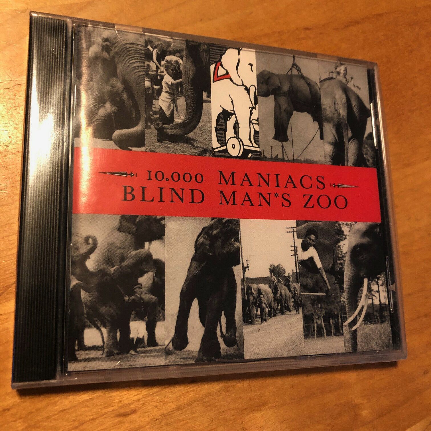 10,000 MANIACS Blind Man's Zoo CD 1989 Elektra BRAND NEW FACTORY SEALED ...