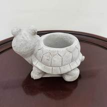 Cement Tortoise Planter with Air Plant, Animal Succulent Planter,Airplant Holder image 5