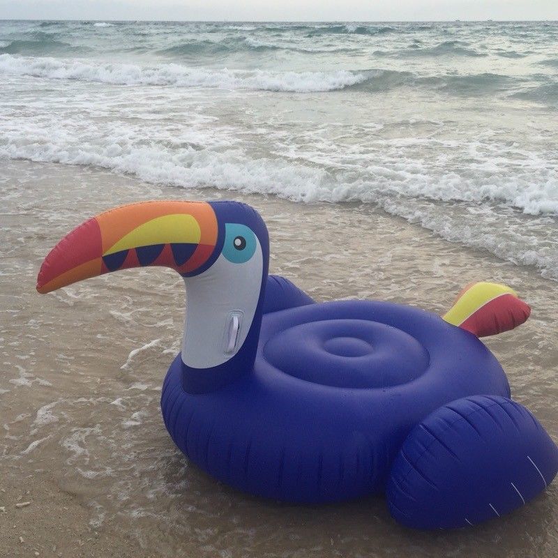 inflatable toucan pool toy