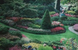Matted 18" x 12" Color Photograph Butchart Gardens Canada Green image 2