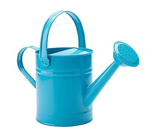 Black Temptation Watering Can Watering Watering Can Gardening Tools Watering Ket - $30.55