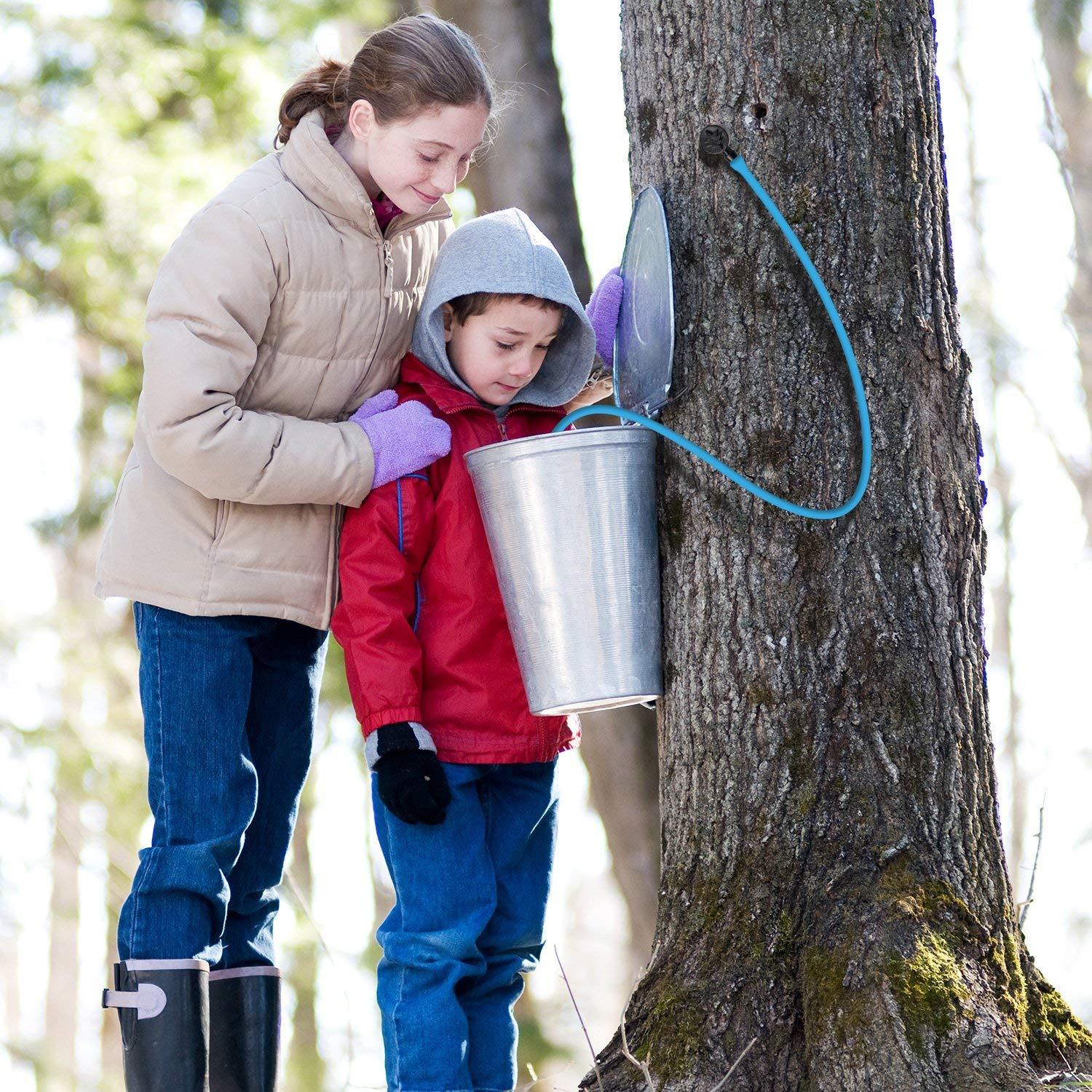 Maple Syrup Tree Tapping Kit 10 Taps JACKYLED 3.28ft Food Grade Syrup