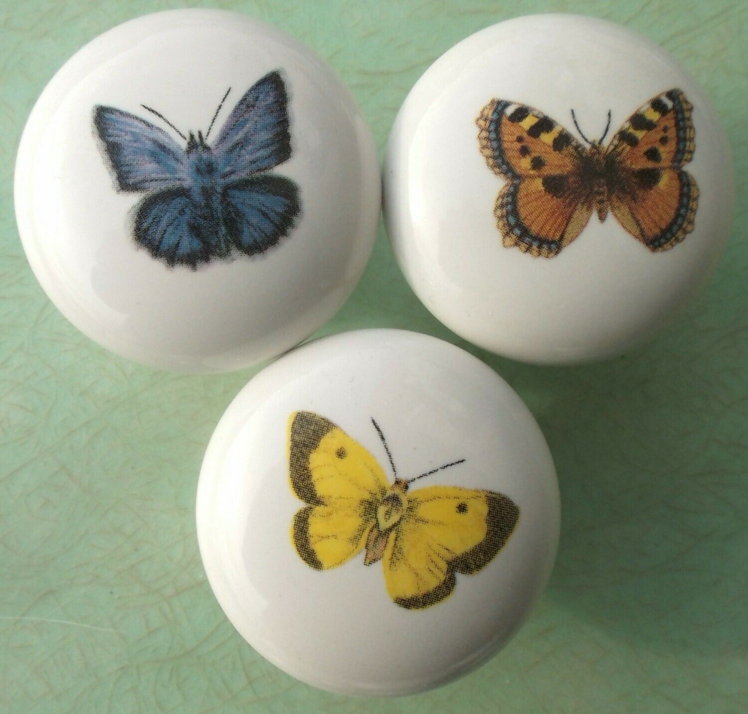 Cabinet Knobs w/ 3 Butterfly Moths Insects butterflies