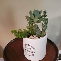 Succulents in Ceramic Planter, Live Arrangement in White Plant Pot, Give Thanks image 8