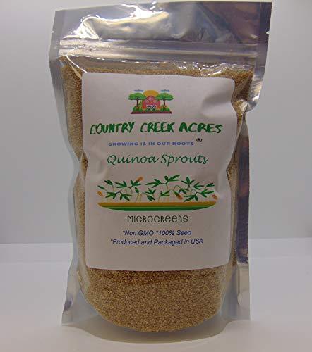 Quinoa Sprouting Seed, Non GMO - 11 oz - Country Creek Acres Brand - Quinoa for