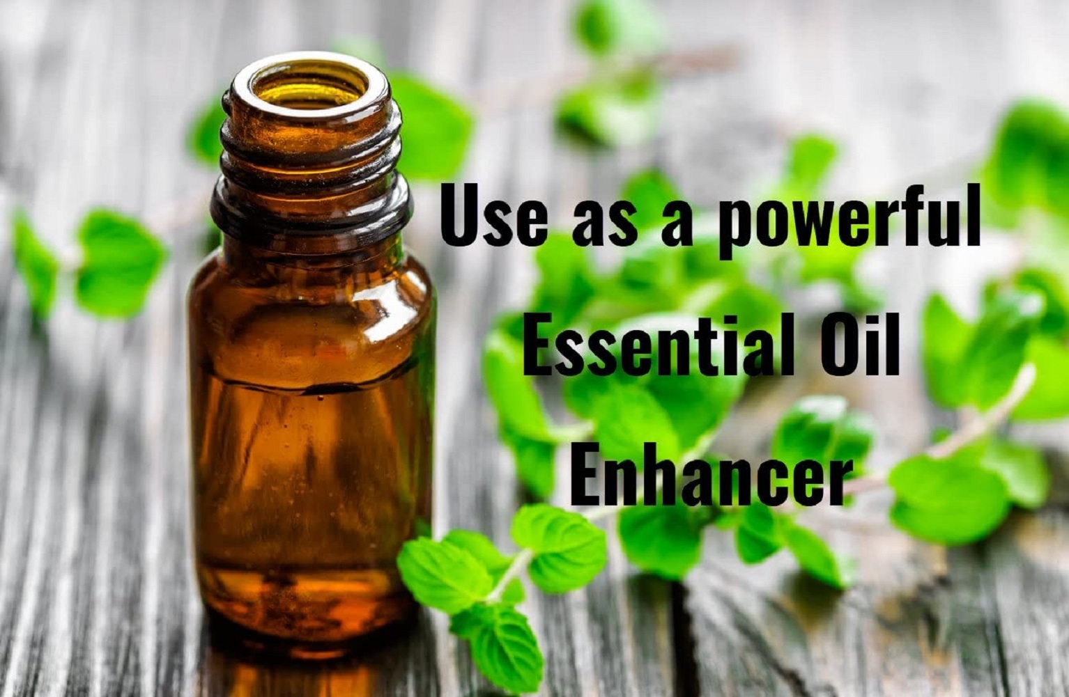 Premium, Liquid MSM Drops. Dietary Supplements