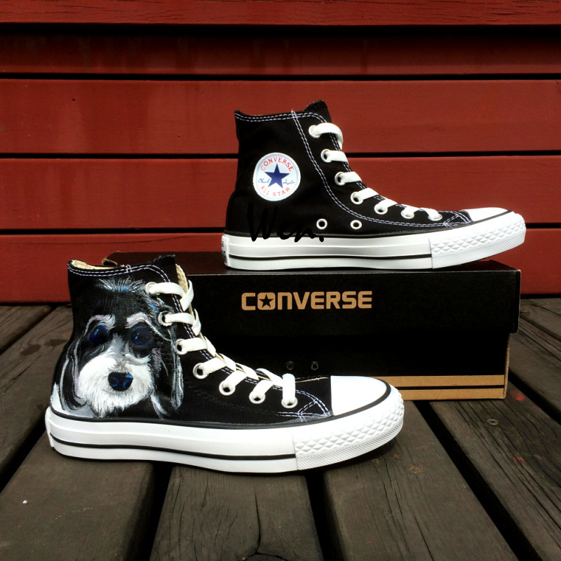 dog converse sneakers