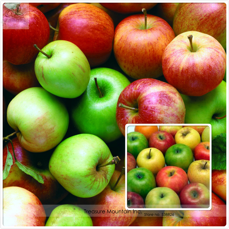 Imported Japan Green Red Fuji Apple Tree Seeds, Professional Pack, 10