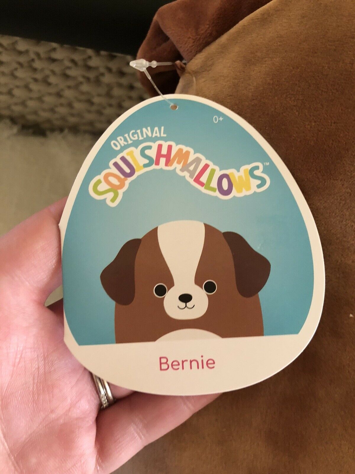 squishmallows bernie