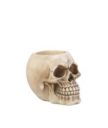 Skull Pen Holder - $19.56